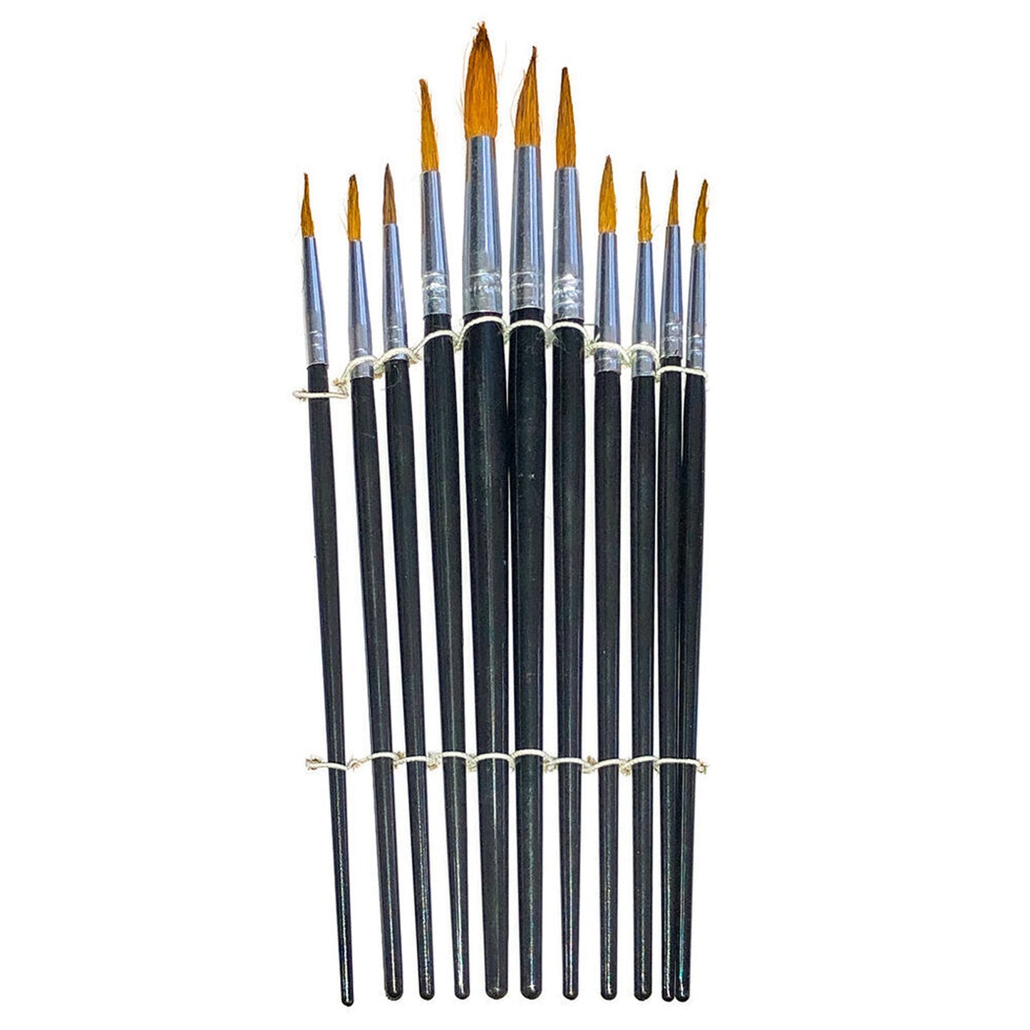 Natural Artist Brush Set - Pack of 12 assorted
