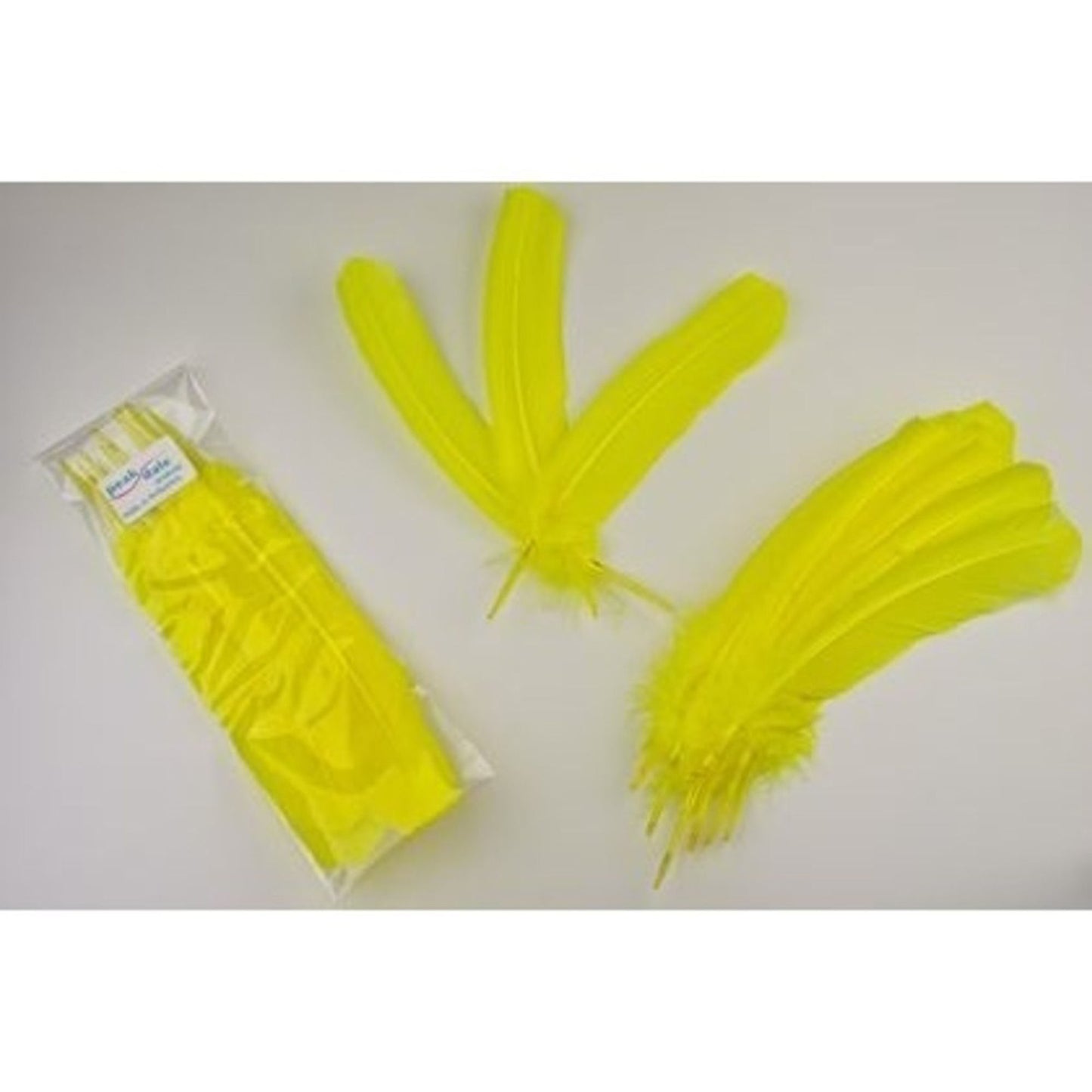 Feather - Quill Yellow - 12 Pk