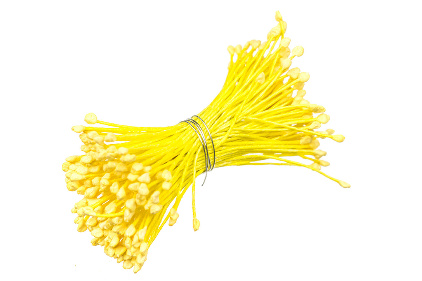 Stamens Natural YELLOW 288 heads