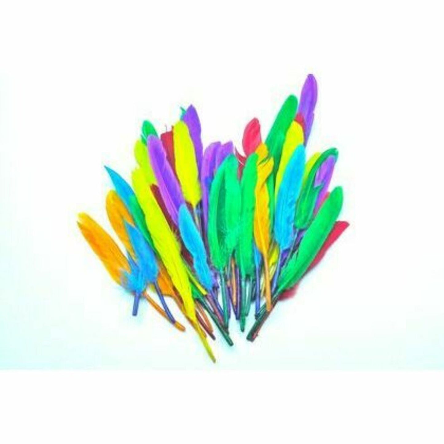 Feather - Duck Quills Asst 10g