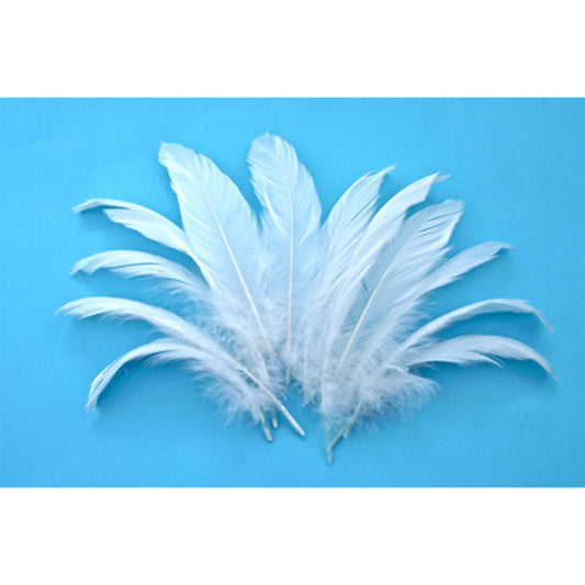 Feather - Leaves Nat White - 12 Pk