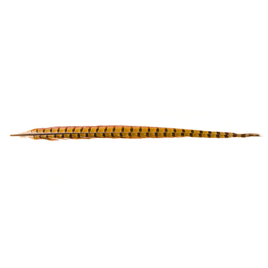 Feather - Pheasant - 1 Pk