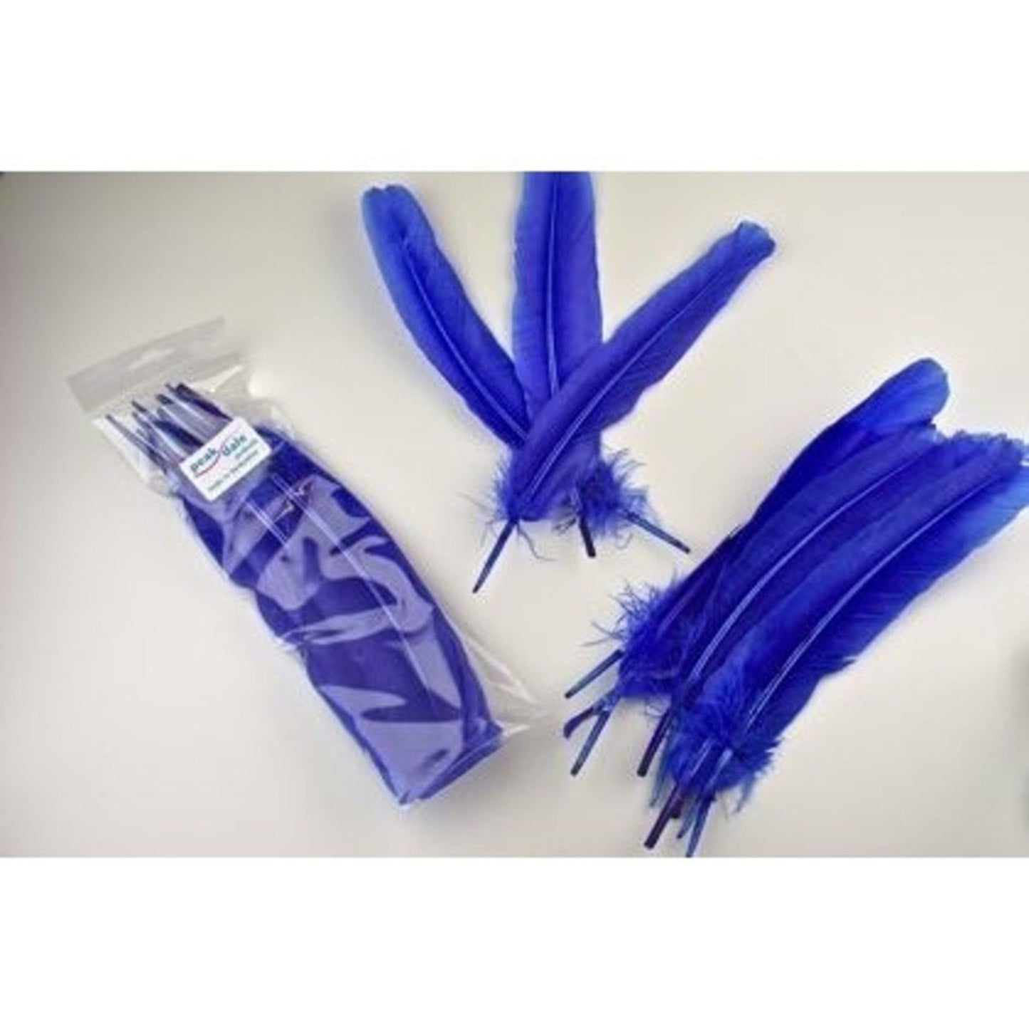 Feather - Quill Blue - 12 Pk