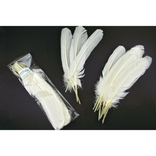 Feather - Quill White - 12 Pk