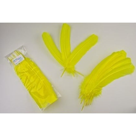 Feather - Quill Yellow - 12 Pk