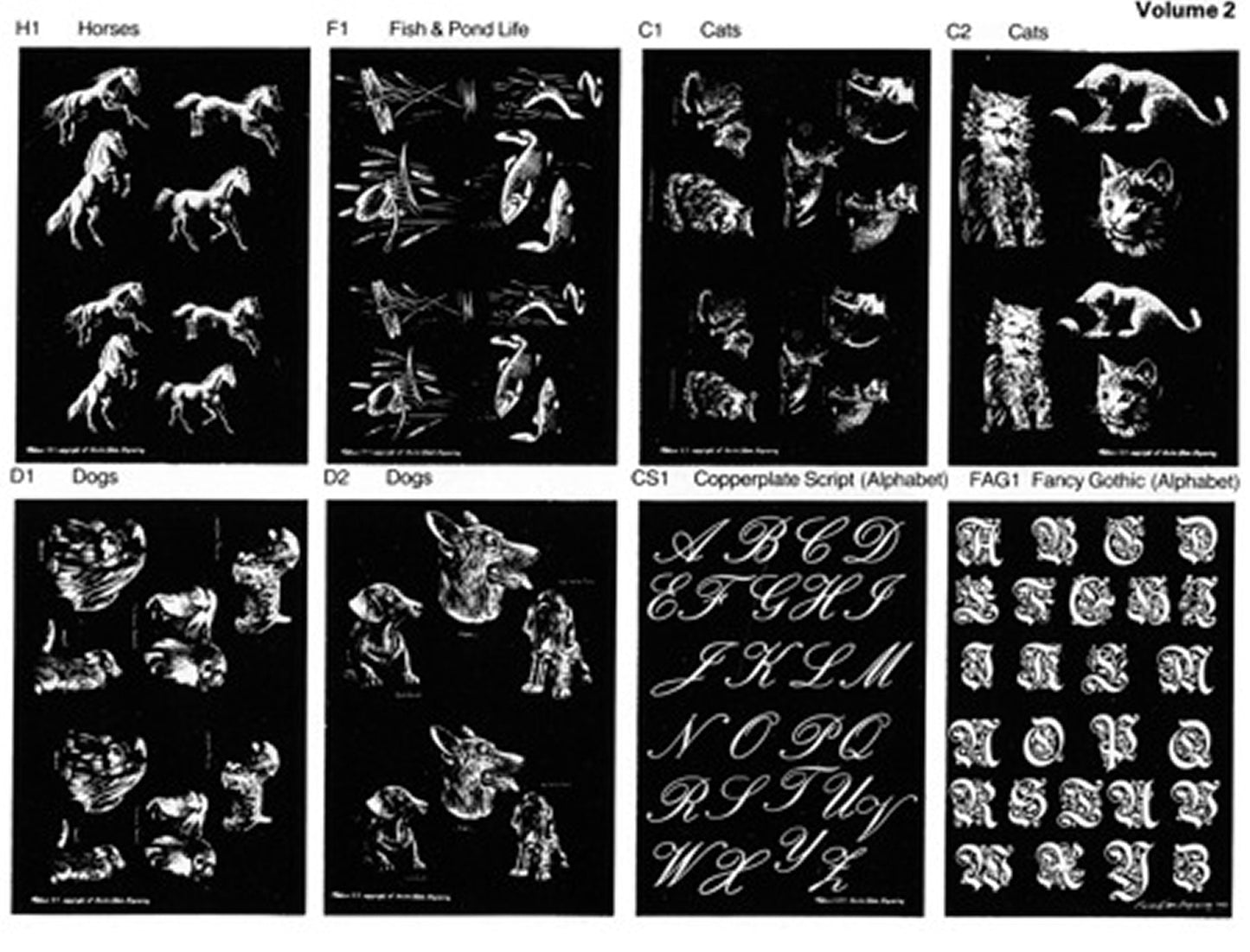 Swiss Glass Engraving Patterns Vol 2 (8) PP2